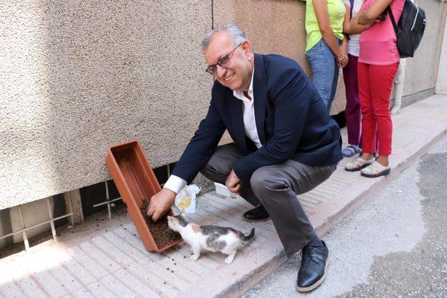 Moloz dolu kapları çöpe attı, yerlerine mama ve su dolu kaplar yerleştirdi