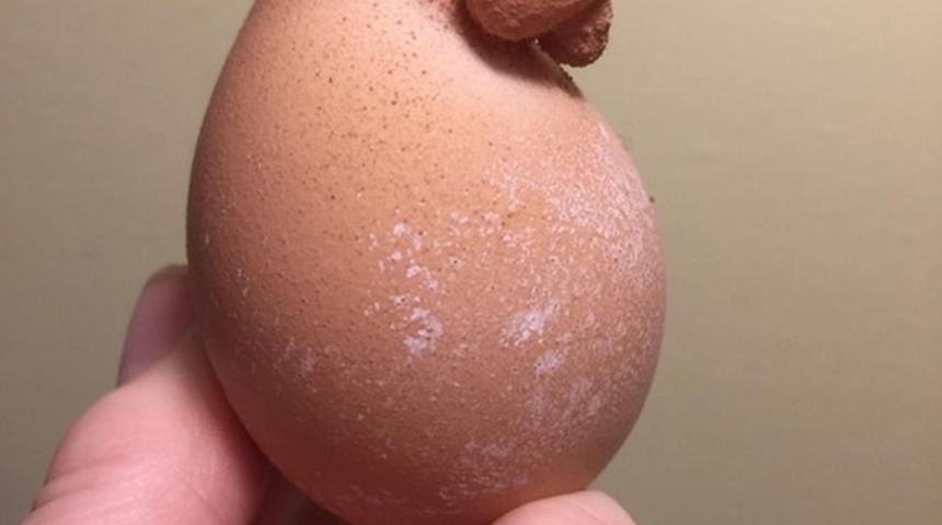 Gördüğünüz an sinirlerinizi altüst edecek mutfak manzaraları