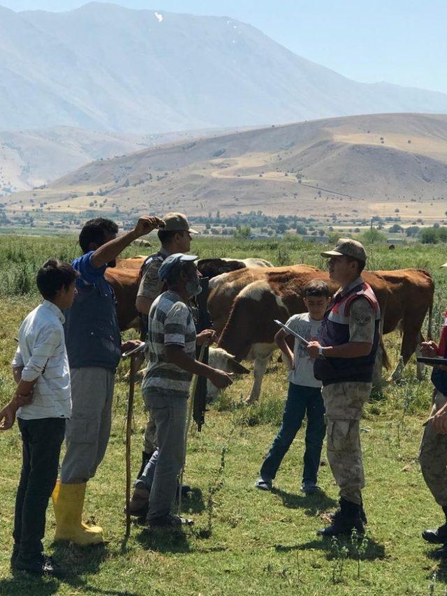 Jandarmadan hayvan hırsızlığına karşı uyarı