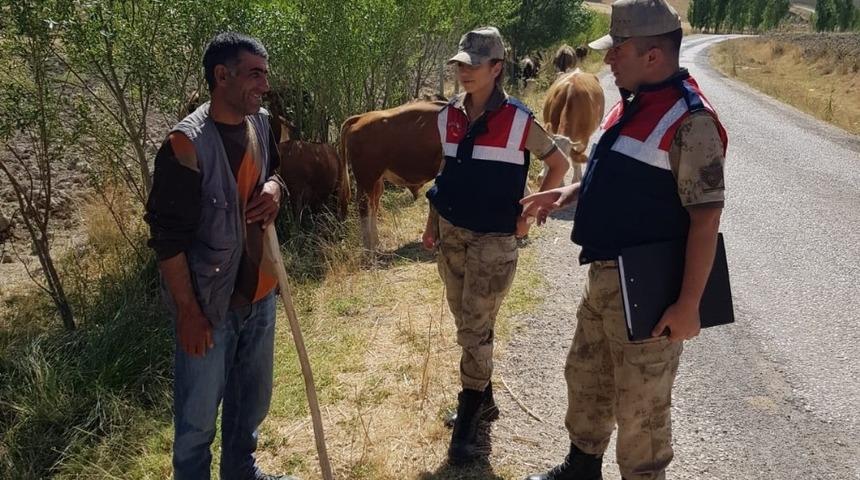 Jandarmadan hayvan hırsızlığına karşı uyarı