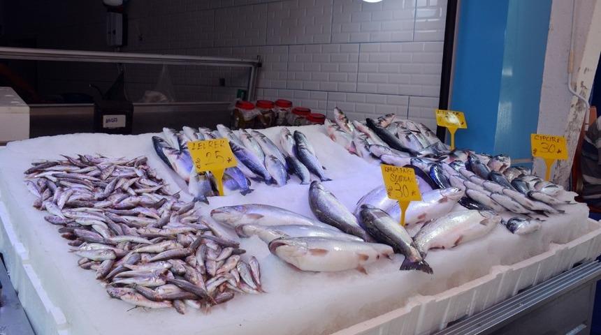 Karadeniz&rsquo;de balık&ccedil;ılar sezonu iple &ccedil;ekiyor