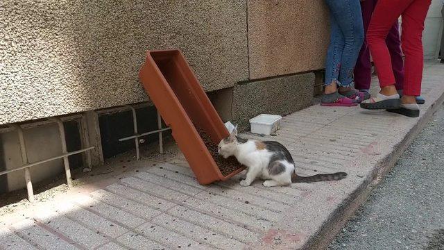 Beton dökülen mama kapları kaldırıldı