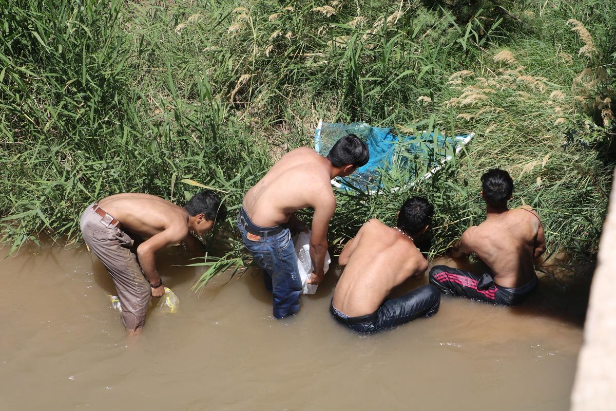 Balıkları tek tek elleriyle topladılar