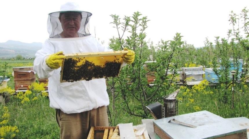 K&uuml;tahya&rsquo;da ge&ccedil;en yıl 236 ton bal &uuml;retildi