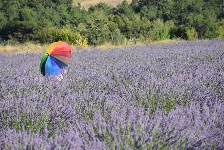 Lavanta diyarı 'İdris köyü' turizme açılacak G4