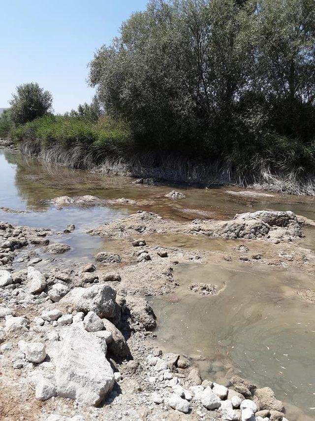 Sakarya nehir yatağı kuruyunca çiftçilere 5 gün sulama yasağı getirildi