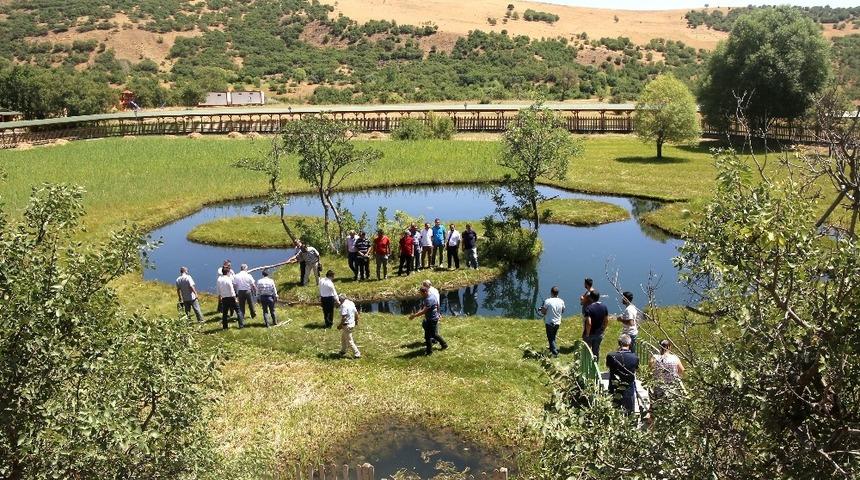B&Uuml;  senato toplantısı Y&uuml;zenadalar&rsquo;da yapıldı