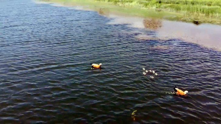 Çorum’un saklı cenneti: Gölbel göleti G2