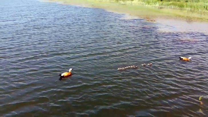 Çorum’un saklı cenneti: Gölbel göleti G5