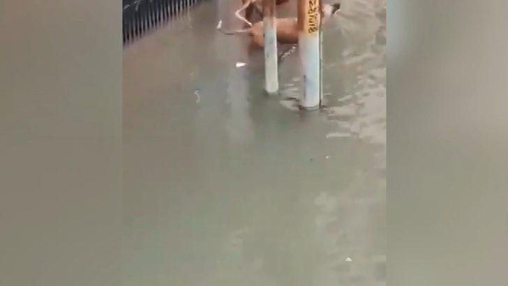 Bir anda su birikintisinin içinden çıktı! O anlar kameraya böyle yansıdı G4