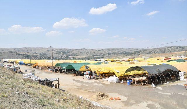 Kurban pazarında 200 çadırdan 137’si doldu