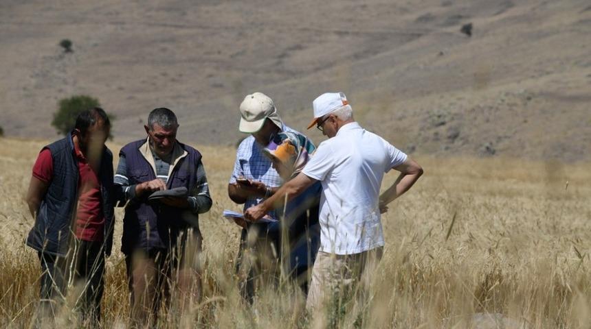 Hububatta dane kaybının &ouml;nlenmesi i&ccedil;in bi&ccedil;erd&ouml;ver kontrolleri s&uuml;r&uuml;yor
