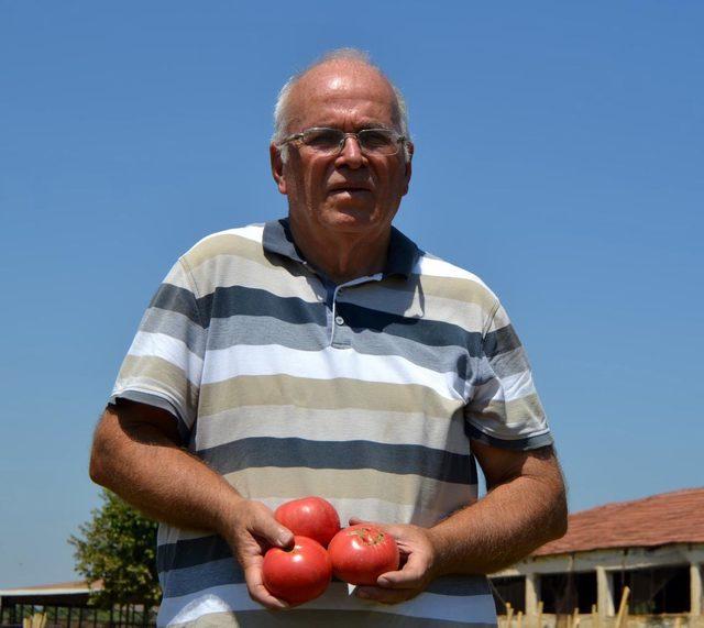 6 ayda 300 farklı yerli tohum elde edildi 2