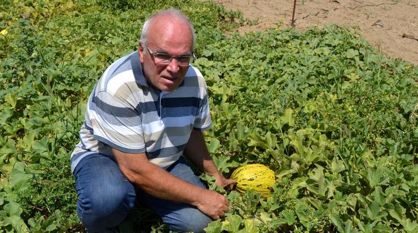 6 ayda 300 farklı yerli tohum elde edildi