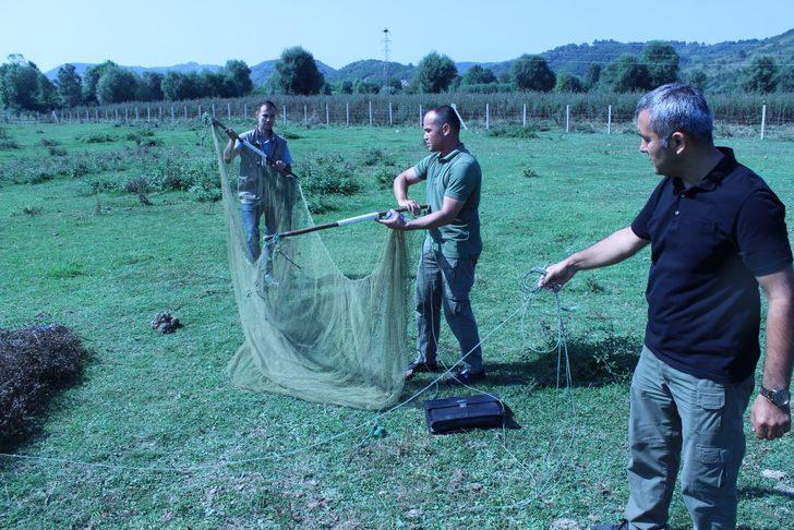 Saka kuşu avcısına 26 bin 336 lira ceza kesildi G2