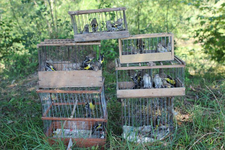 Saka kuşu avcısına 26 bin 336 lira ceza kesildi G1