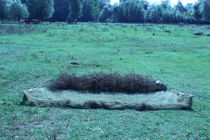 Saka kuşu avcısına 26 bin 336 lira ceza kesildi G5