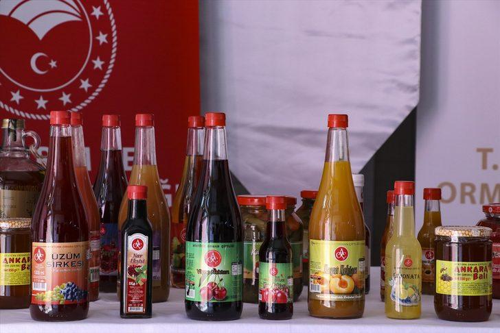 AOÇ süt ürünlerini de e-PTTAVM'de satmayı hedefliyor G5