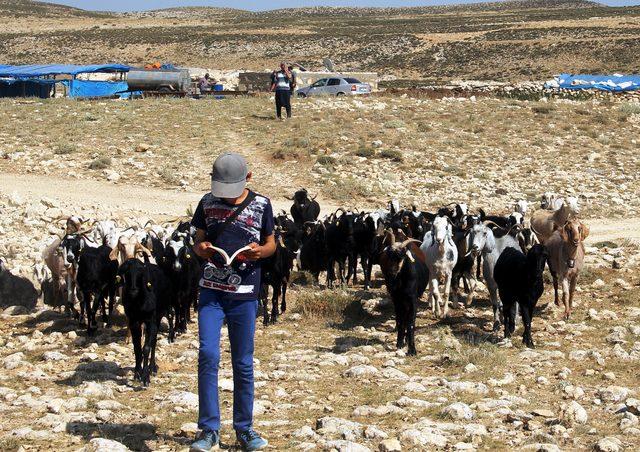 Çobanlık yapan ikizler fen lisesini kazandı