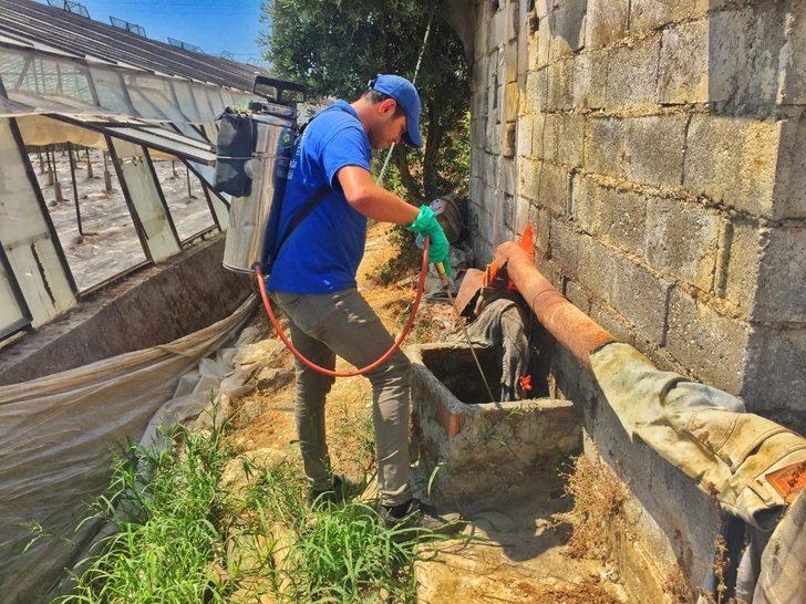 Büyükşehirin haşere mücadelesi sürdürdü G2