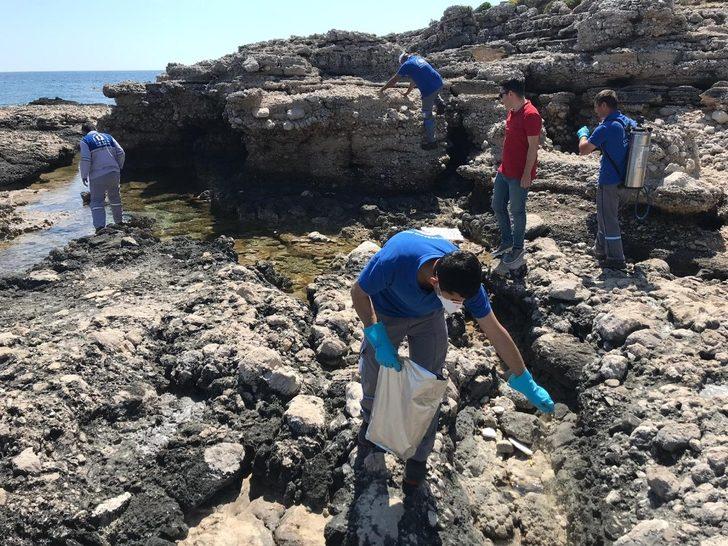 Büyükşehirin haşere mücadelesi sürdürdü G4