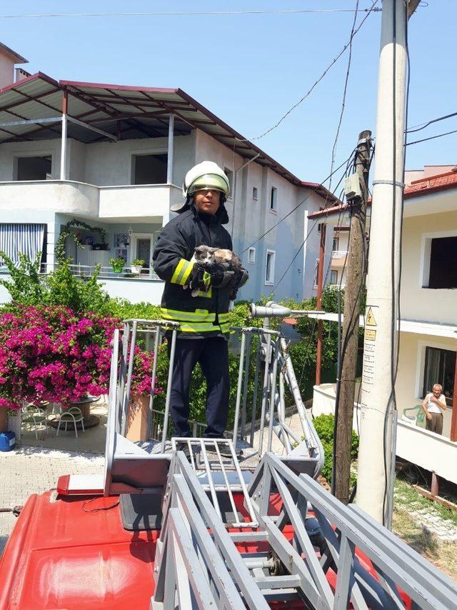 Kedinin yardımına itfaiye yetişti