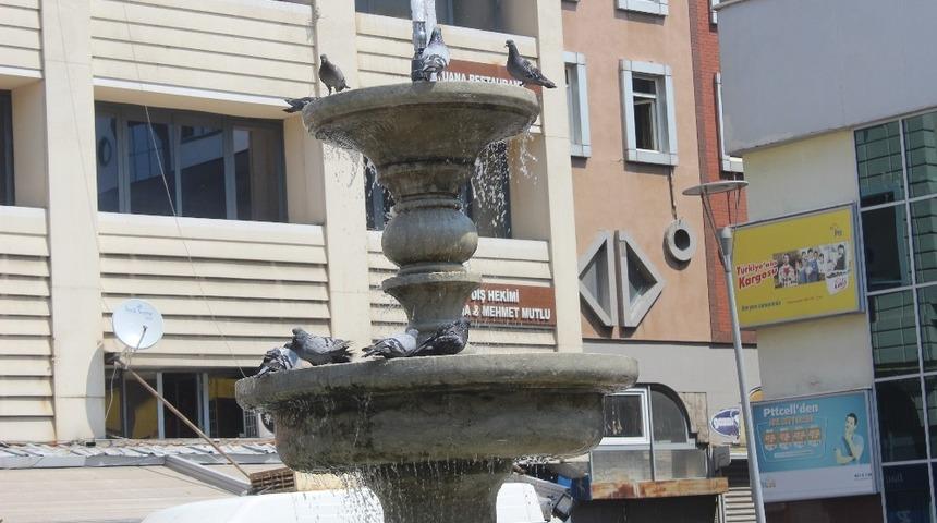 (&Ouml;zel)G&uuml;vercinlerin su banyosu