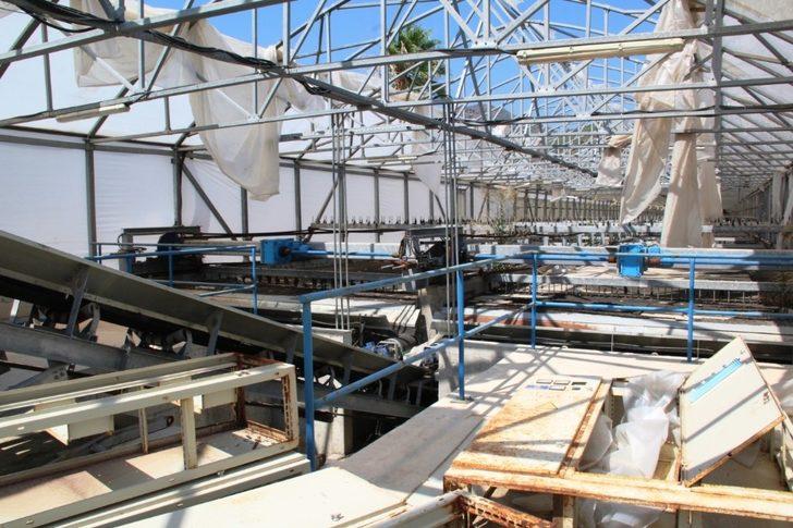 Kavga milli serveti çürüttü, zarar 5 milyon lira G1