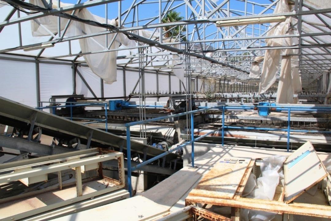 Kavga milli serveti &ccedil;&uuml;r&uuml;tt&uuml;, zarar 5 milyon lira