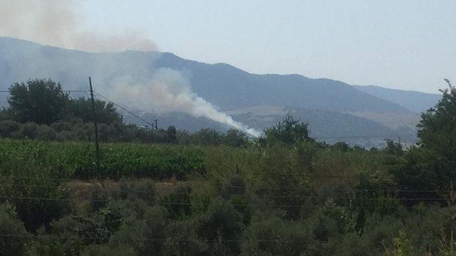 Aydın’da çifte yangın