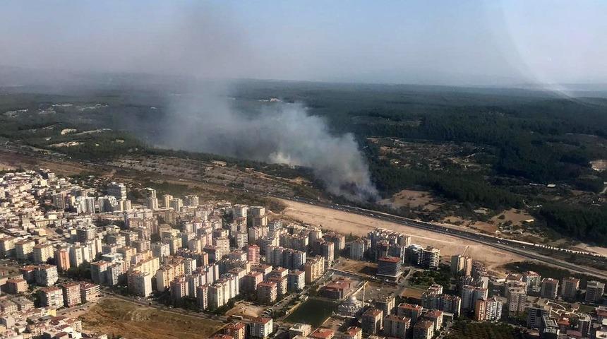 İzmir'de saman yüklü kamyon devrildi! Orman yangını çıktı
