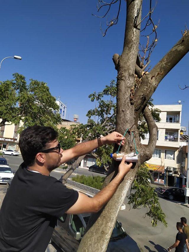 Sokak hayvanlarına su ile mama bırakıldı