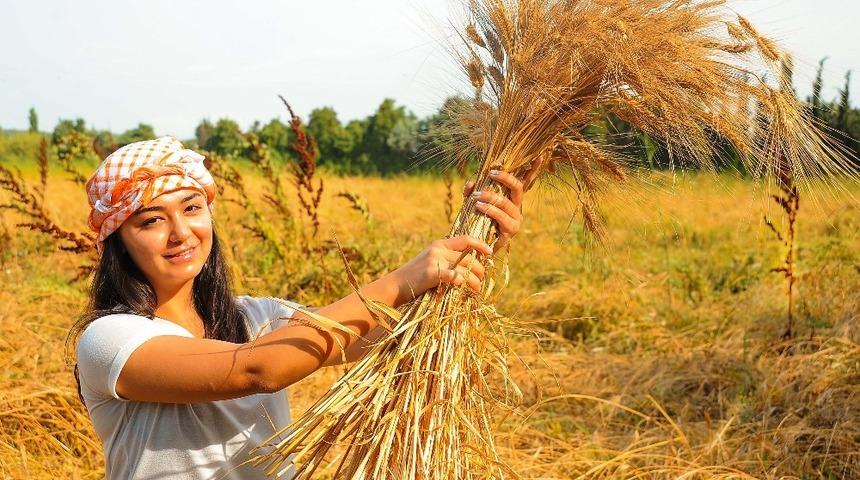 Seferihisar’daki şenlik binlerce kişiyi buluşturacak