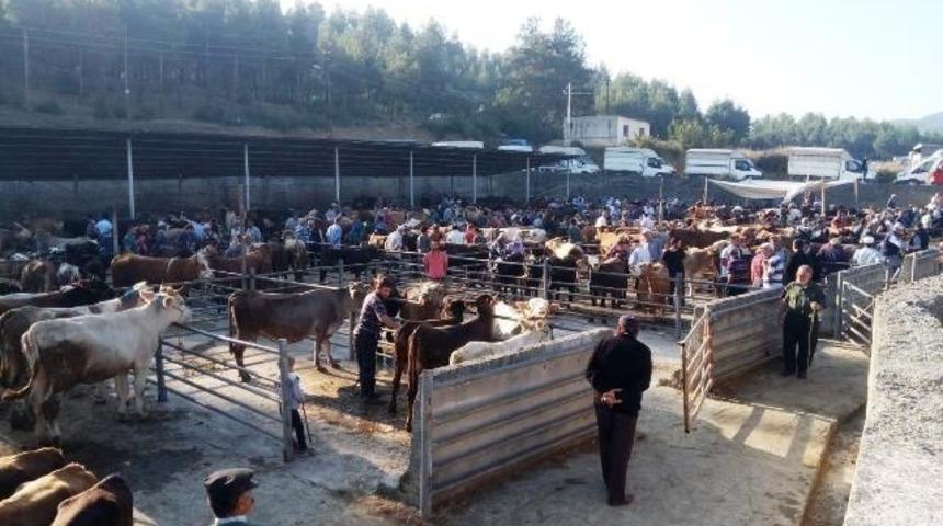 Boyabat Belediyesinden kurban tedbirleri