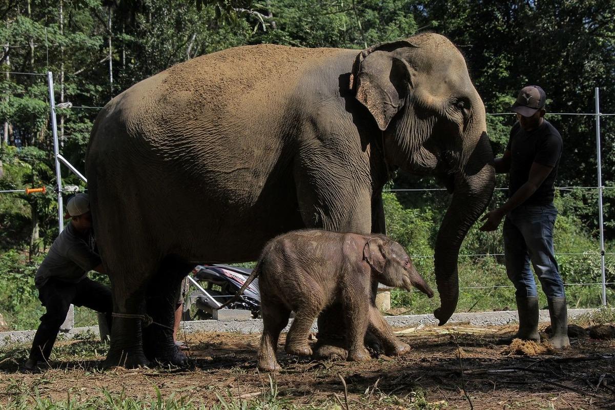  Ailenin yeni tatlı &uuml;yesi Yuyun!