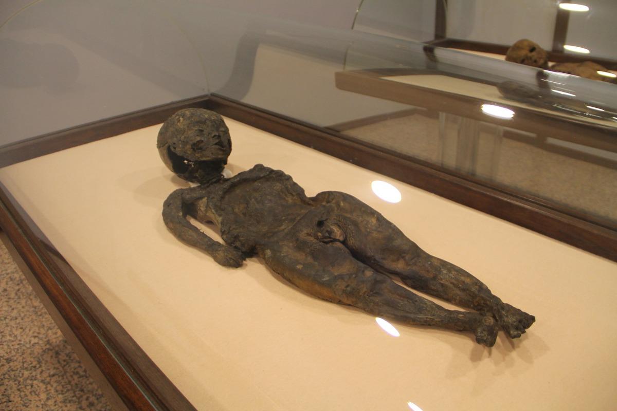 Amasya'da t&uuml;yleri diken diken eden m&uuml;ze! D&uuml;nyada eşi ve benzeri yok