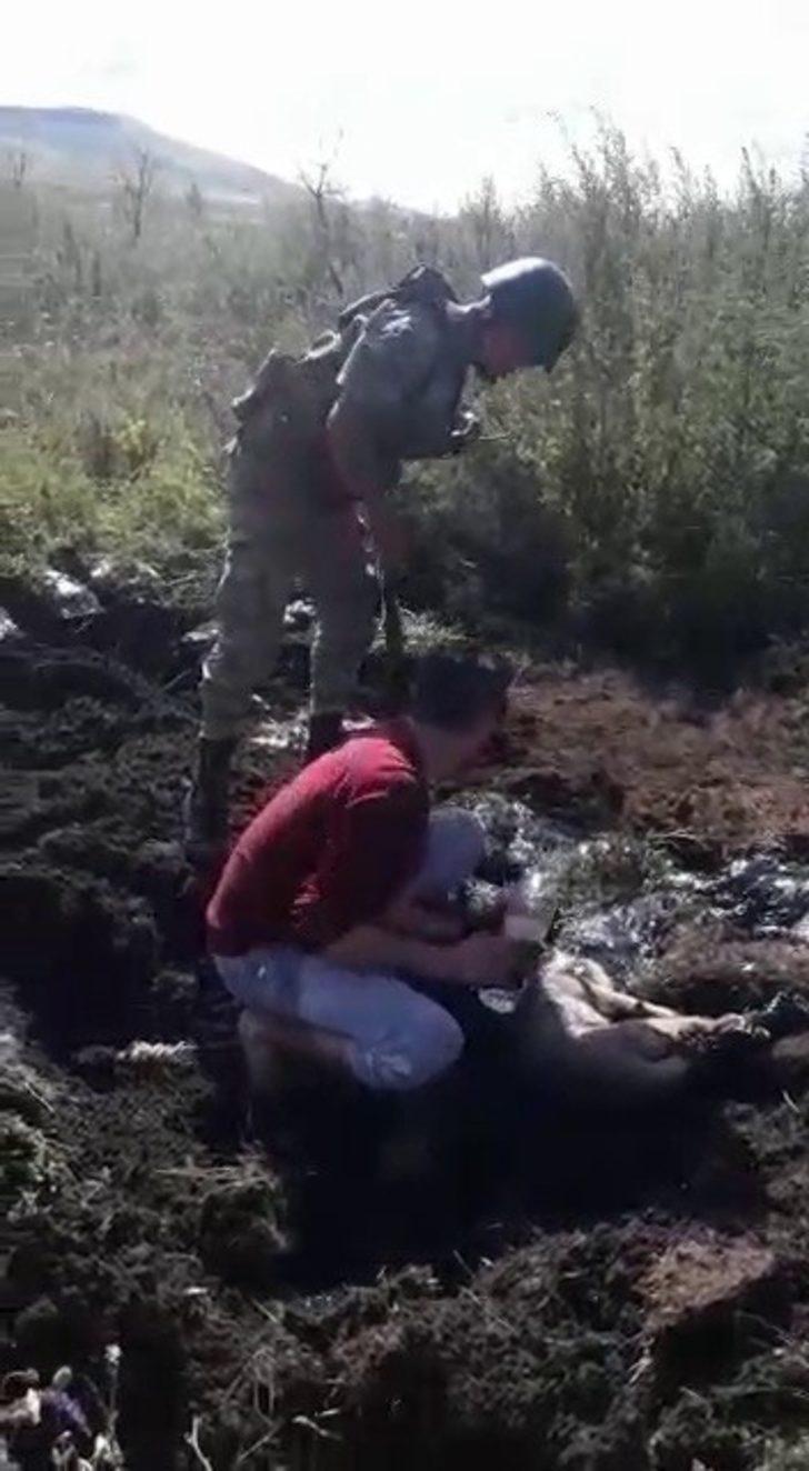 Ardahan'da yürek yakan görüntü! Zifte yapışarak mahsur kalan yavru köpekler böyle kurtarıldı G3