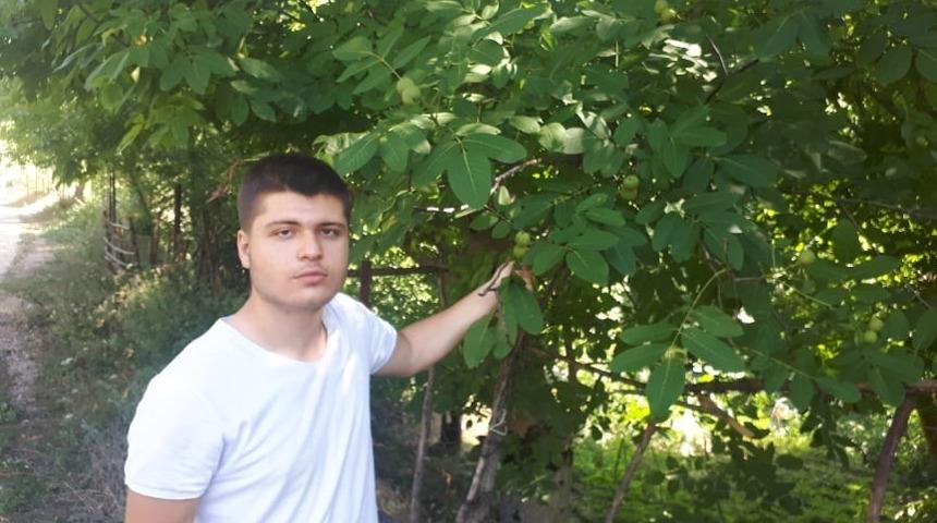 Ceviz&rsquo;de son 10 yılın en y&uuml;ksek verimi bekleniyor