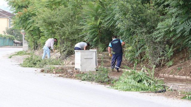 Solaklar yolu temizlendi