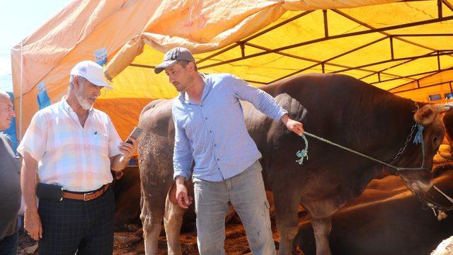 Kurbanlıklar cebe girdi, diş sayma derdi sona erdi