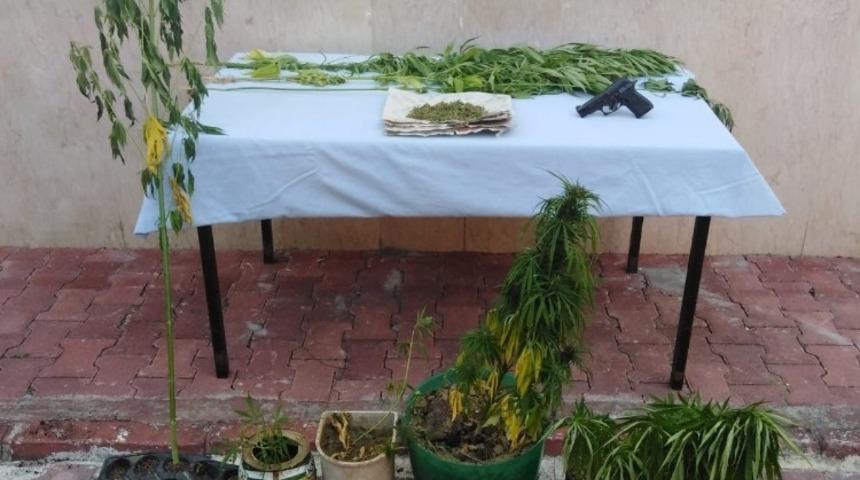 Erfelek’te uyuşturucu operasyonu