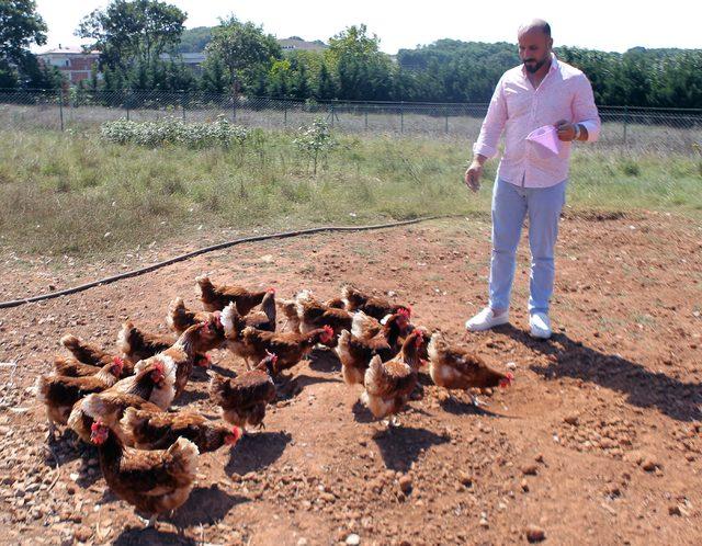 Hobi olarak başladı, tavuk çiftliği kurdu