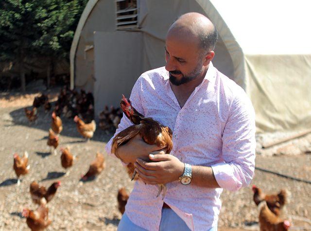 Hobi olarak başladı, tavuk çiftliği kurdu