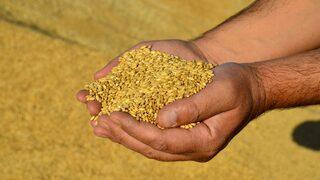 Fiyatlar y&uuml;zde 31 arttı