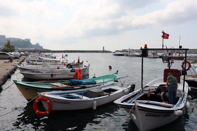 Zonguldak’ta balıkçılar hamsiden umutsuz