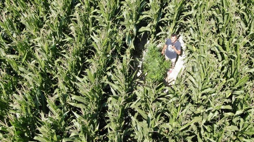 Polisten droneli Hint keneviri operasyonu