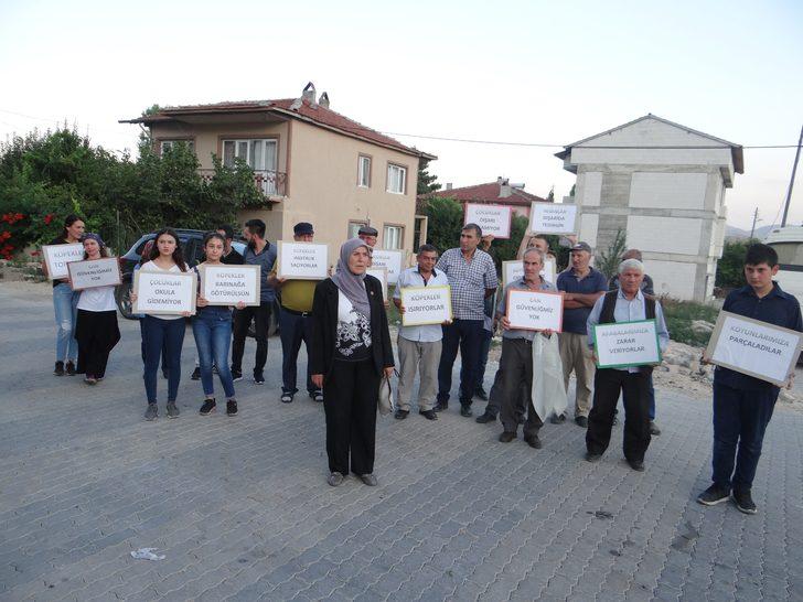 Başıboş köpeklerden bıkan vatandaşlar pankartı alıp sokağa çıktı G2