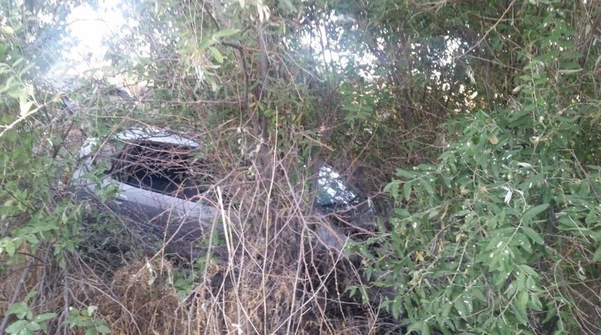 Otomobil ağa&ccedil;lık alana u&ccedil;tu: 4 yaralı