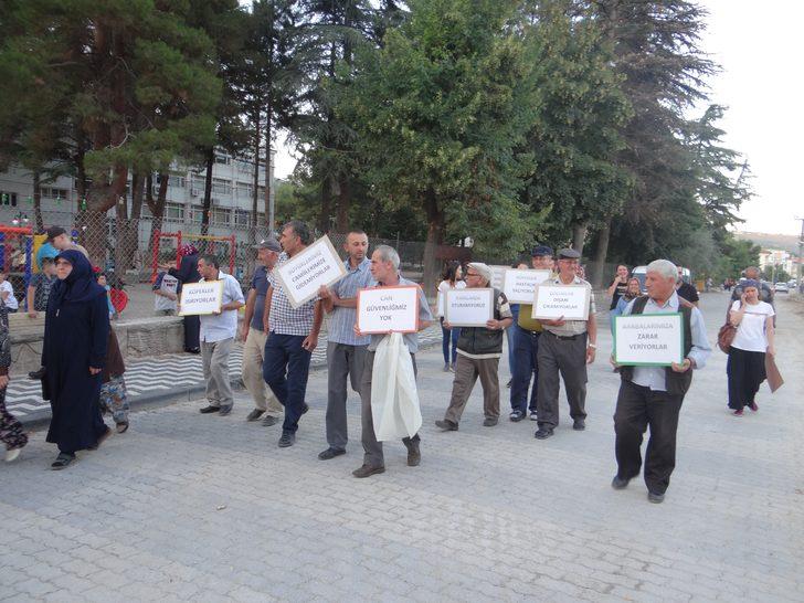 Başıboş köpeklerden bıkan vatandaşlar pankartı alıp sokağa çıktı G1