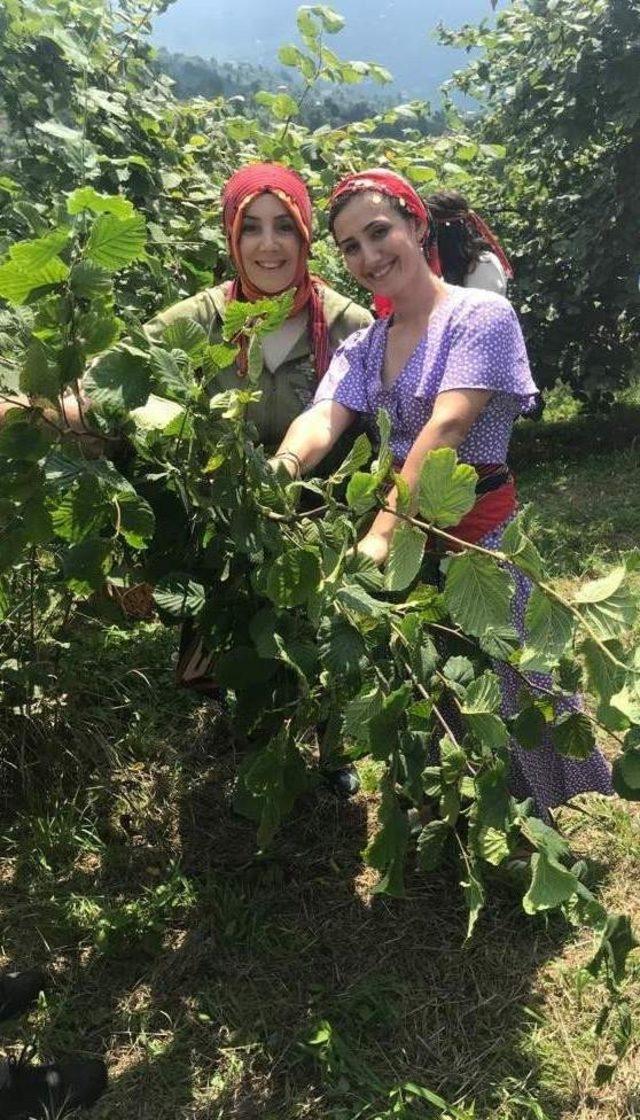 “Dünyanın fındığı burada” dediler